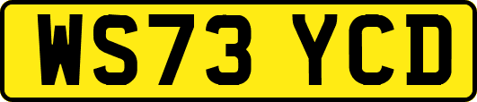 WS73YCD
