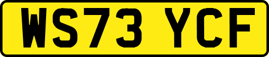 WS73YCF