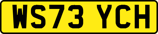 WS73YCH