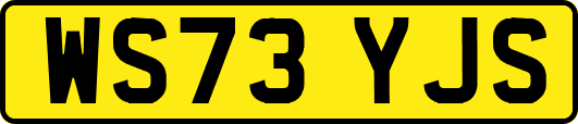 WS73YJS