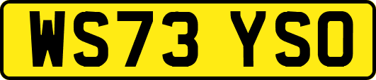 WS73YSO