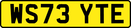 WS73YTE