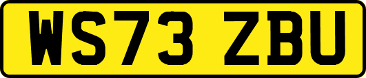 WS73ZBU