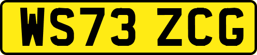 WS73ZCG