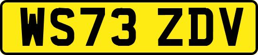 WS73ZDV