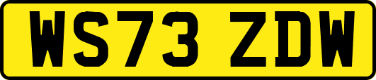 WS73ZDW