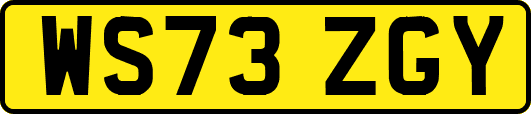 WS73ZGY