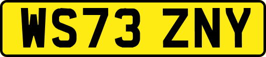 WS73ZNY