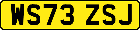 WS73ZSJ