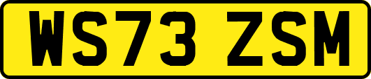WS73ZSM