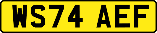 WS74AEF