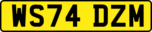 WS74DZM