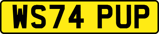 WS74PUP