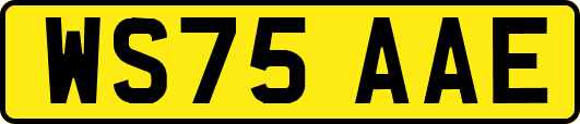WS75AAE
