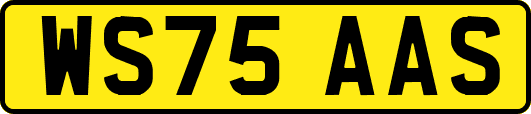 WS75AAS