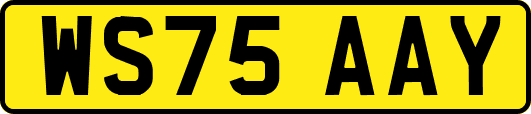 WS75AAY