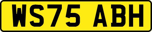 WS75ABH