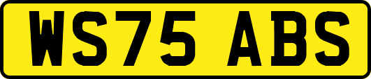WS75ABS