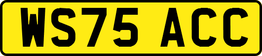 WS75ACC