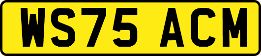 WS75ACM