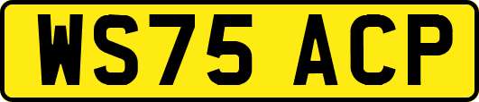 WS75ACP