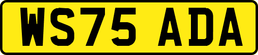 WS75ADA