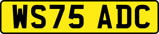 WS75ADC