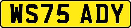 WS75ADY