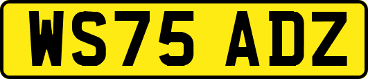WS75ADZ