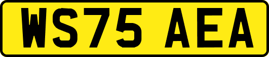 WS75AEA