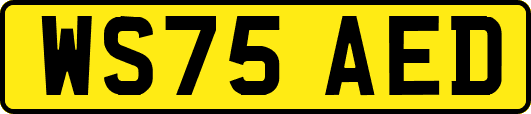 WS75AED