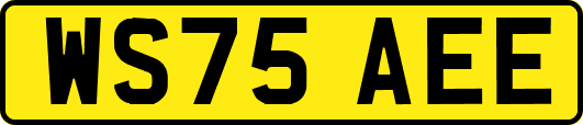 WS75AEE