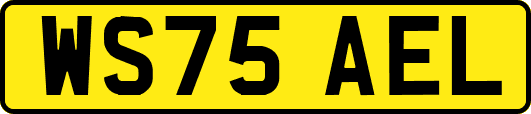 WS75AEL