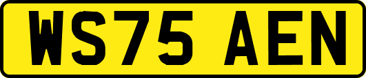WS75AEN