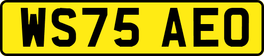 WS75AEO