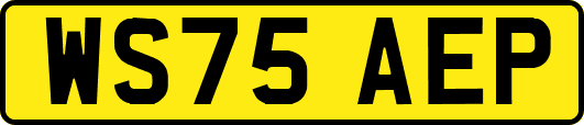 WS75AEP
