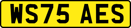 WS75AES
