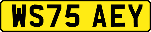 WS75AEY