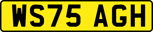 WS75AGH