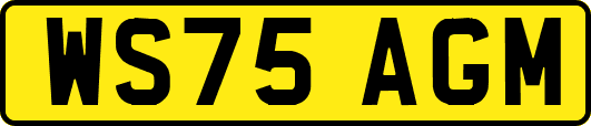 WS75AGM
