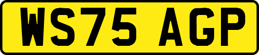 WS75AGP