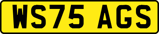 WS75AGS