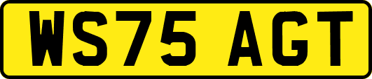 WS75AGT