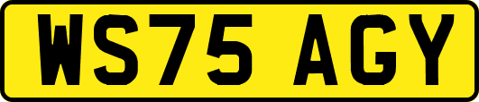 WS75AGY
