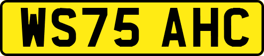 WS75AHC