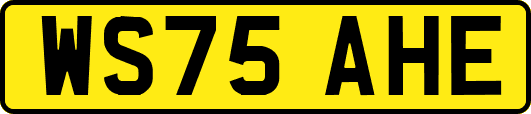 WS75AHE