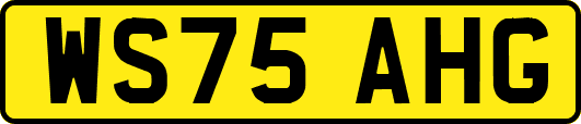 WS75AHG