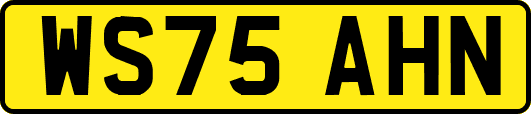 WS75AHN