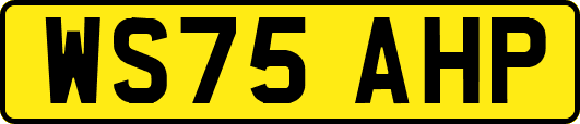 WS75AHP