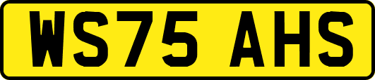 WS75AHS
